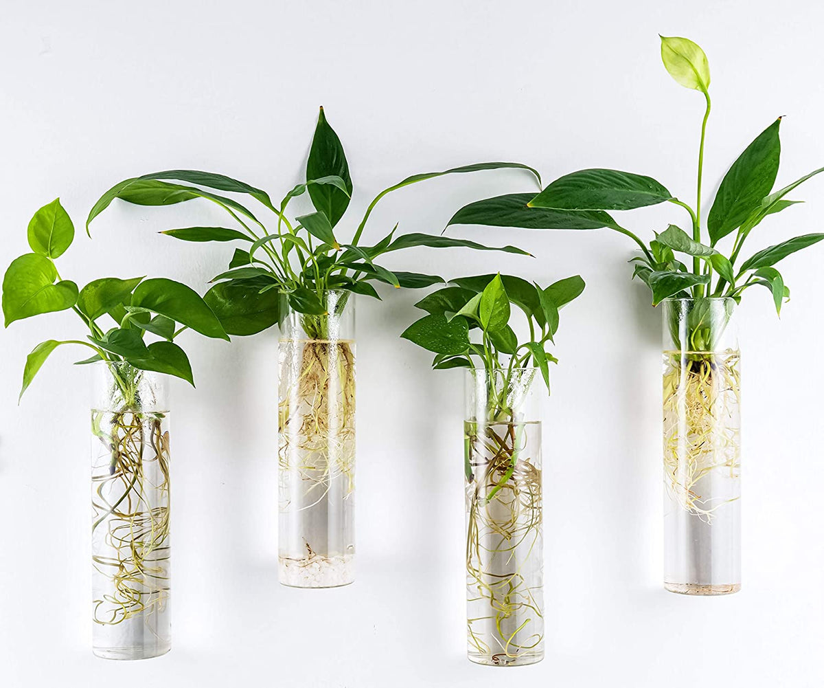 Wall-Mounted Plant Terrarium Propagation Station - 4 Cylinder Hanging Glass Tubes Planter for Hydroponic Plants, Indoor Wall Vases & Decorative Plant Holder Bathroom Office Living Room Decor