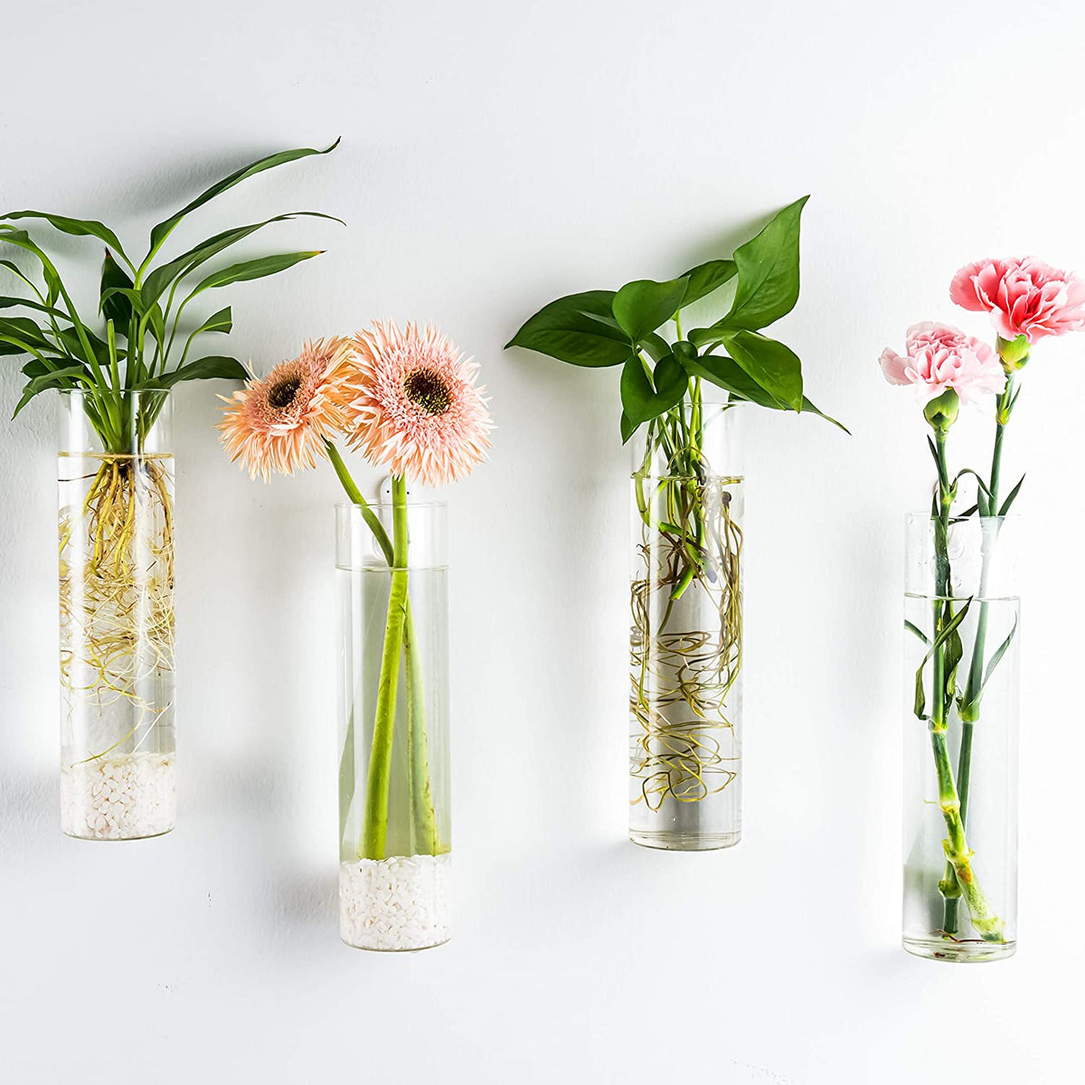 Wall-Mounted Plant Terrarium Propagation Station - 4 Cylinder Hanging Glass Tubes Planter for Hydroponic Plants, Indoor Wall Vases & Decorative Plant Holder Bathroom Office Living Room Decor